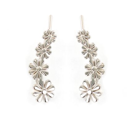 pendientes-plata-trepadores-cadiz